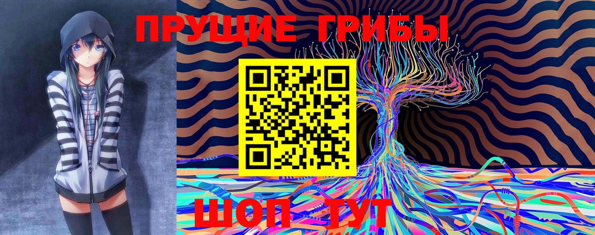 Карабулак  Псилоцибиновые грибы ЛСД  Галлюциногенные грибы Psilocybine cubensis  Вход с VPN 